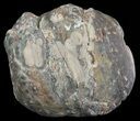 Crystal Filled Dugway Geode (Polished Half) #67487-1